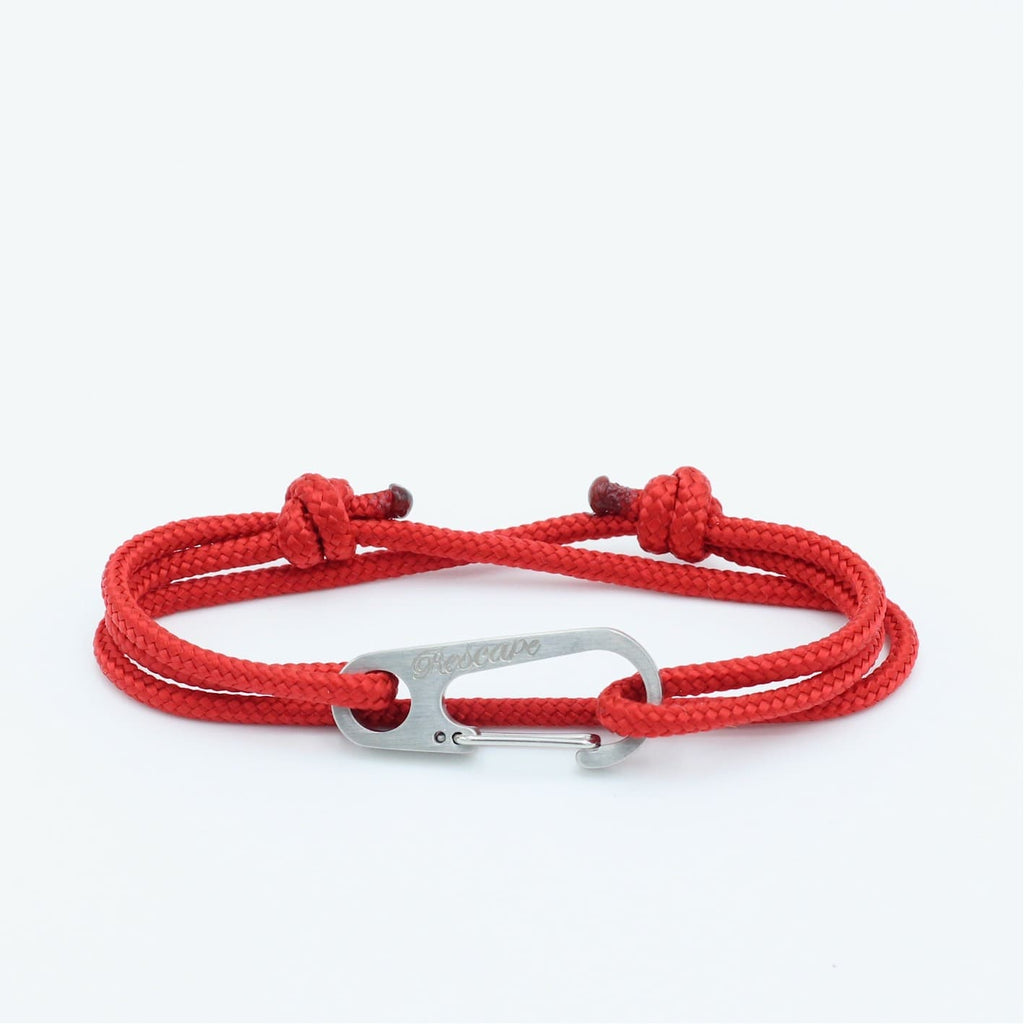 Aiguille Rouge - Gray Carabiner