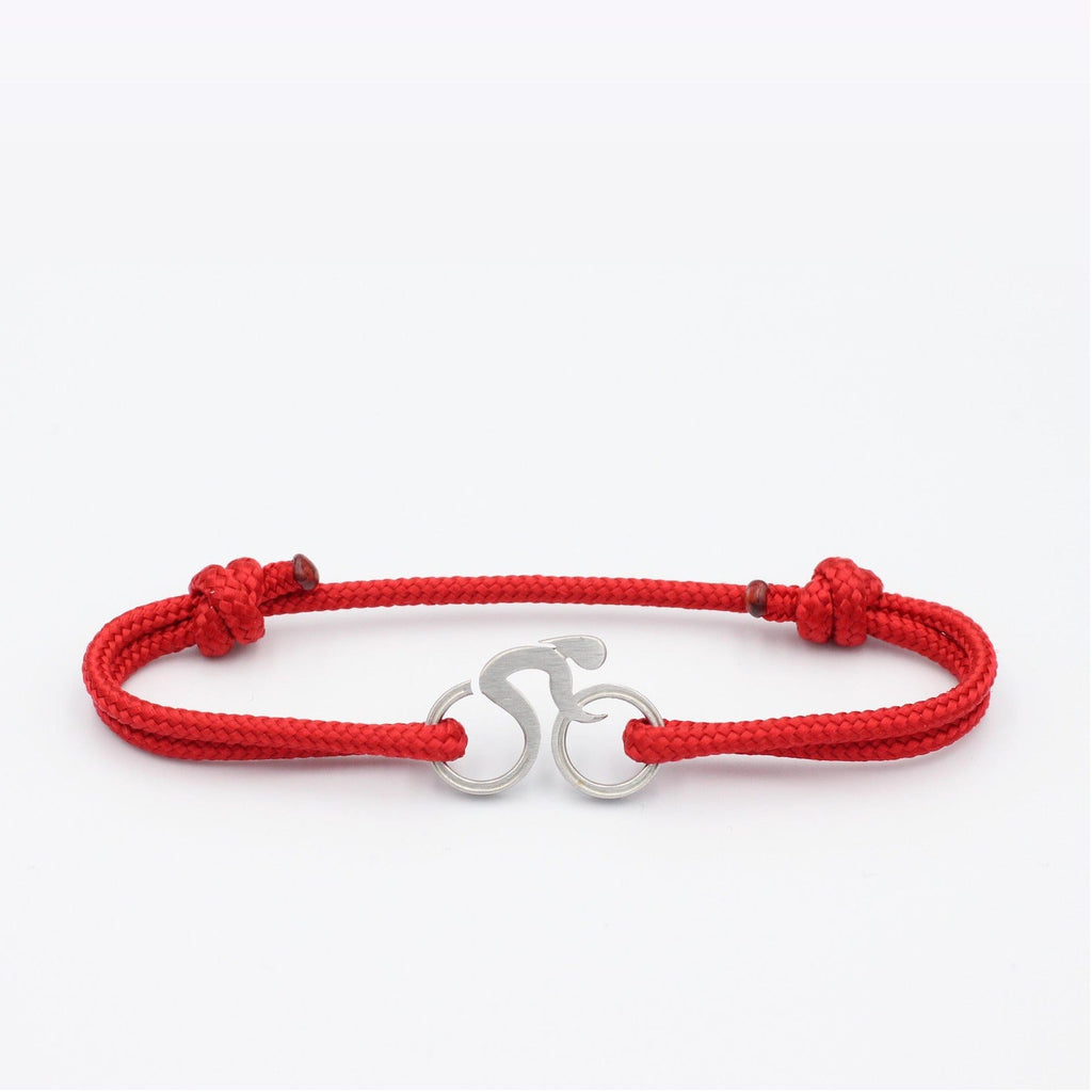 L'Aiguille Rouge - Vélo Gris